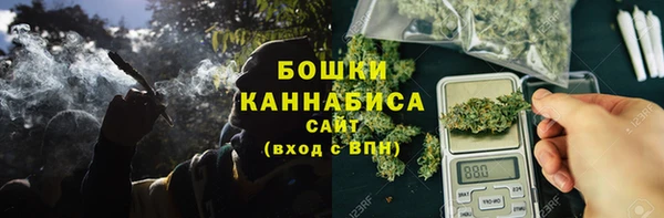 крисы Богородицк