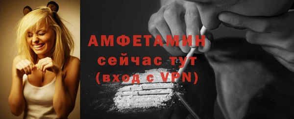 крисы Богородицк