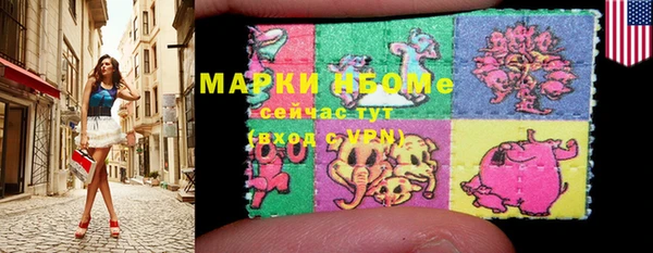 крисы Богородицк