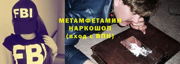 крисы Богородицк