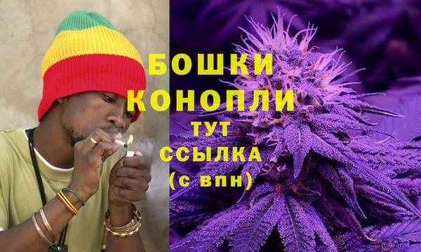 крисы Богородицк