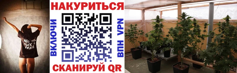 сколько стоит  Туран  Бошки Шишки гибрид 